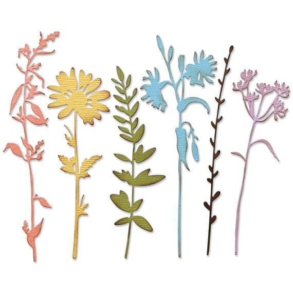 666565 - Sizzix® Thinlits® Die Set 6PK  Vault Wildflowers by Tim Holtz