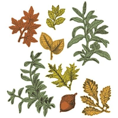 666706 Sizzix A5 Clear Stamps 8PK w/8PK Framelits Die - Forever Leaves by 49 and Market