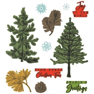 666711 Sizzix A5 Clear Stamps 11PK w/8PK Framelits Die - Pine Holidays by 49 and Market