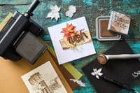 666716 - Sizzix® Thinlits® Die Set - 10PK Vault Holiday Classic