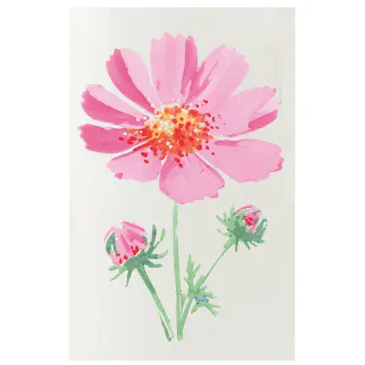 666921 - Sizzix™ Studio Layered Stencils 4PK - Cosmo by Willow Wolfe