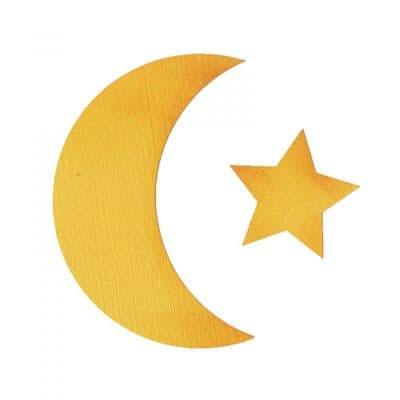 A10338 Sizzix Bigz Die - Moon & Star