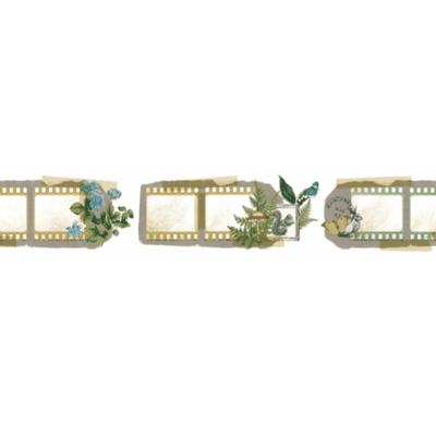 Arden Creative Studio Maker Series, Katie Pertiet, Cut PET Tape - Hidden Creek Filmstrip