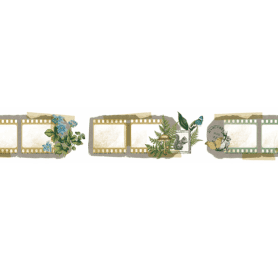 Arden Creative Studio Maker Series, Katie Pertiet, Cut PET Tape - Hidden Creek Filmstrip