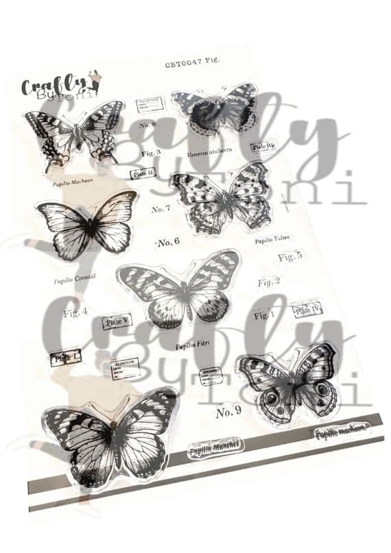 CBT0047 -Crafty by Toni A5 Stamp Set - Fig