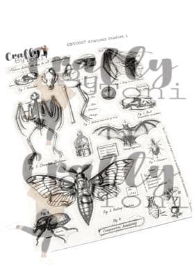CBT0057-Crafty by Toni  A5 Stamp Set Anatomy Studies