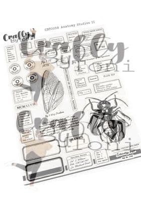 CBT0058 -Crafty by Toni  A5 Stamp Set Anatomy Studies II