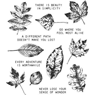 CMS343 Tim Holtz Cling Mounted Stamp Set - Nature's Wonder