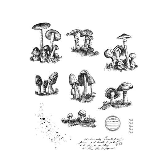 CMS377 Tim Holtz Cling Mounted Stamp Set - Tiny Toadstools