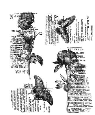 CMS447 Tim Holtz Cling Mounted Stamp Set - Botanical Collage