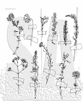 CMS481 Tim Holtz Cling Mounted Stamp Set -  Forgotten Garden