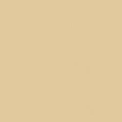 DecoArt Americana Acrylic Paint 2oz - Antique White