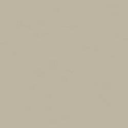 DecoArt Americana Acrylic Paint 2oz - Driftwood