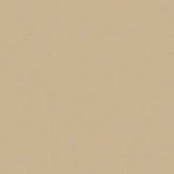 DecoArt Americana Acrylic Paint 2oz - Fawn