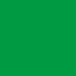 DecoArt Americana Acrylic Paint 2oz - Festive Green