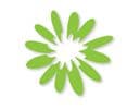 Ellison Design Easy Emboss - Flower, Daisy #2
