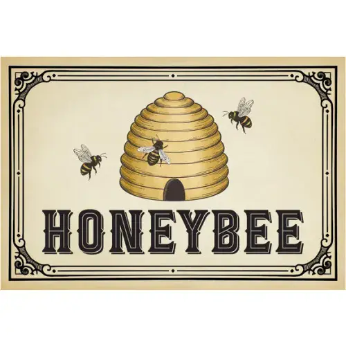 Honey Bee