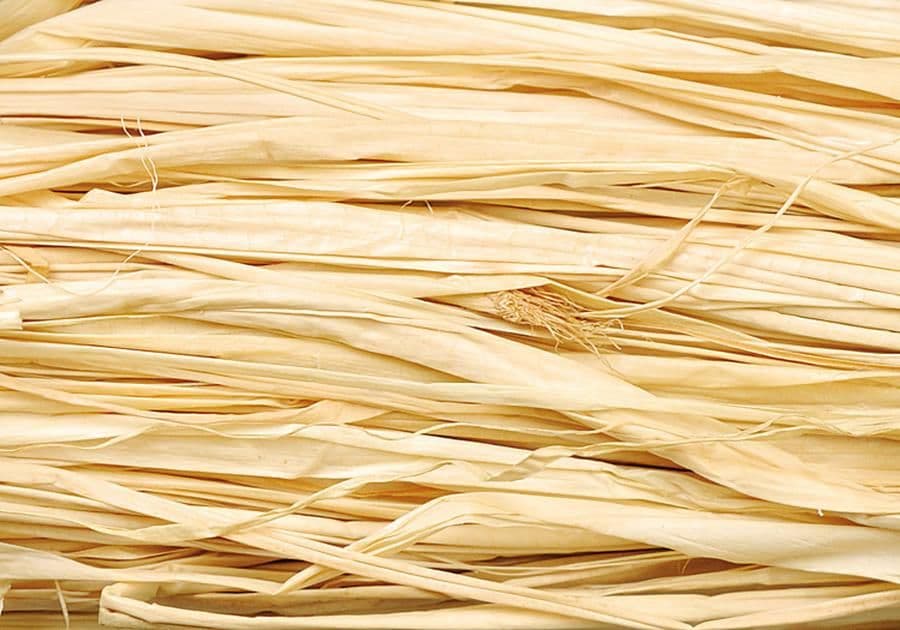 Fresh Raffia Natural Raffia 50g bundle
