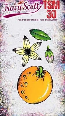 PaperArtsy - Tracy Scott Stamp Mini 30