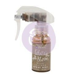 Prima Marketing Color Bloom Spray Mist 2oz - Vintage Metal Worn Leather