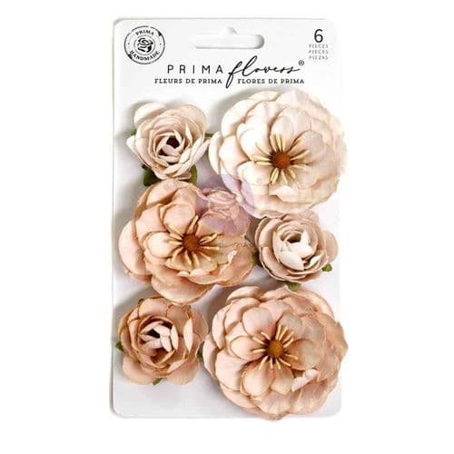 Prima Paper Flowers 6/Pkg -  Bewitched, Pumpkin Dust