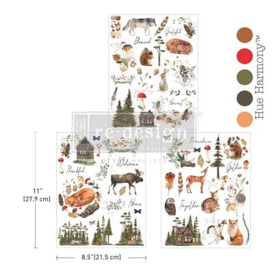 Redesign Middy Plus Transfers®  The Foragers Retreat