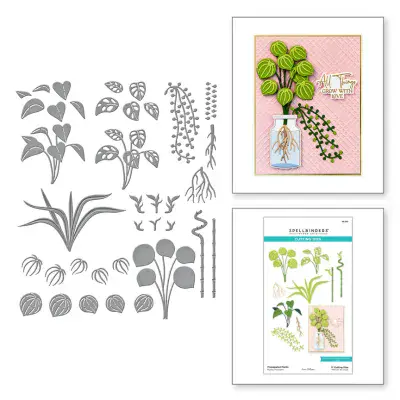 Spellbinders Etched Dies By Annie Williams - Propagated Plants