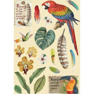 Stamperia - Wooden Shapes - A5 Coloured Frame  Amazonia Parrot