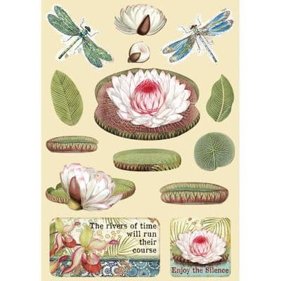 Stamperia - Wooden Shapes - A5 Coloured Frame  Amazonia Water Lily