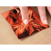 Stix2 - Transfer Foils (Permanent) - Earth Tones