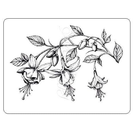 Sweet Poppy Stencil: Fuchsia Stamp