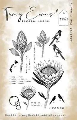 Tracy Evans -  A5 Stamp - Amonst The Flowers