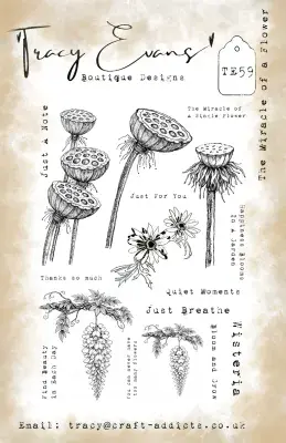 Tracy Evans -  A5 Stamp - The Miracle Of A Flower