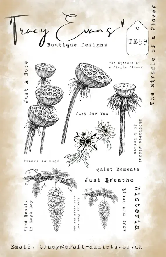 Tracy Evans -  A5 Stamp - The Miracle Of A Flower