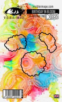 Visible Image Co-ordinating Die - Birthday In Bloom