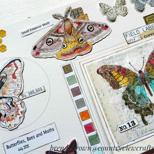 Workshop Friday 18th July 2025 -  Creative Sketchbooking, Butterflies, Bees & Moths