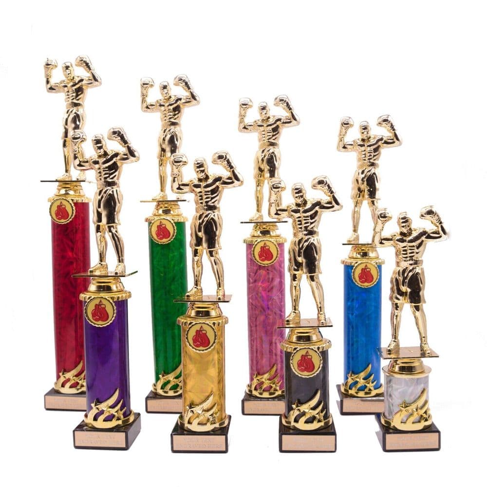 Gold Boxer Column Trophy Multi Award Personalised County Engraving