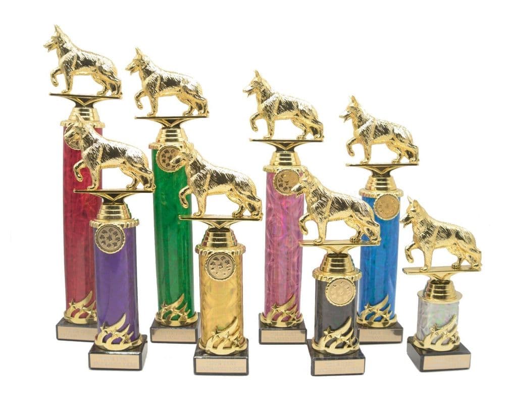 Gold Dog Show Obedience Column Trophy Award Personalised County Engraving