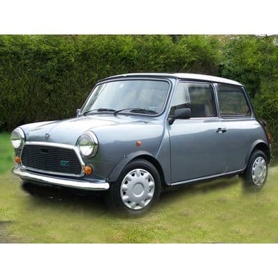 Austin Vs Rover Mini Austin