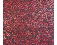 Luxury Sequin Dance Wear Stretch Fabric Material - BLACK RED