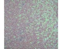 Luxury Sequin Dance Wear Stretch Fabric Material - PINK PEARL