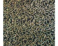 Luxury Sequin Dance Wear Stretch Lycra Fabric Material - BLACK GOLD