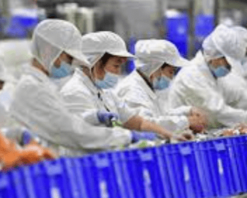 ACM (Double Eagle, Dou Bell, CYMA)