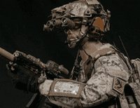Eagle Industries SOFLCS Assaulter's Arm Band Sleeve