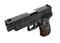 SALE! WE F226 RAIL