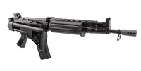 VFC FNC PARA GBB Airsoft ( Custom Limited Version)