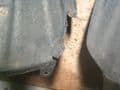 ASTRA MK4 GSI FRONT PLASTIC ARCH LINERS,PAIR