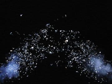 LeMaitre Glitter Cartridge Single