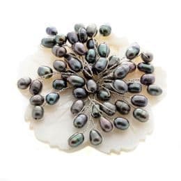 Pearl Brooch - Black Pearls on Mother-of-Pearl