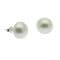 Pearl Earrings - 11-12 mm AA Button Pearls - Sterling Silver Studs. Available in White